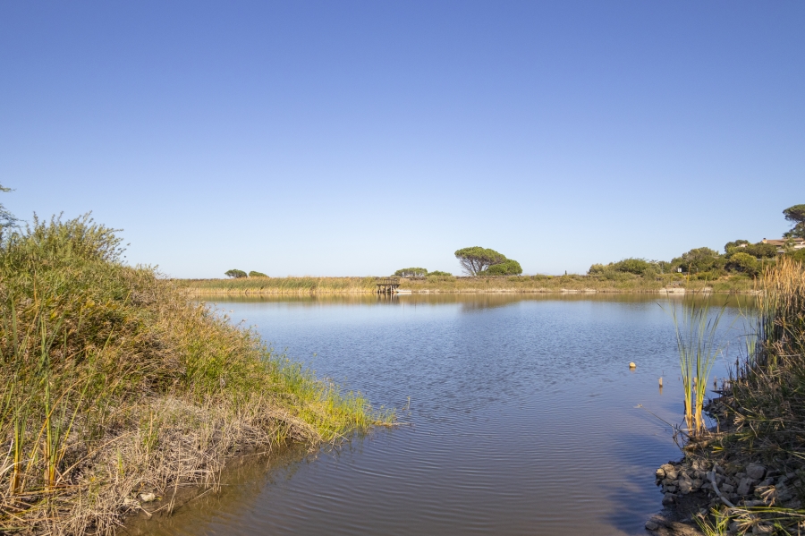 To Let 4 Bedroom Property for Rent in Boskloof Eco Estate Western Cape